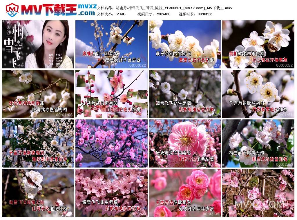 胡蜜丹-梅雪飞飞_国语_流行_YF300601